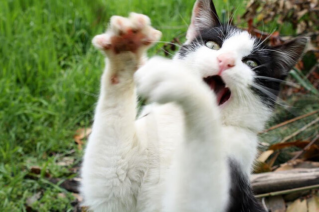 “青春激扬”青少年篮球艺术表演在北京精彩纷呈,推动体育文化繁荣