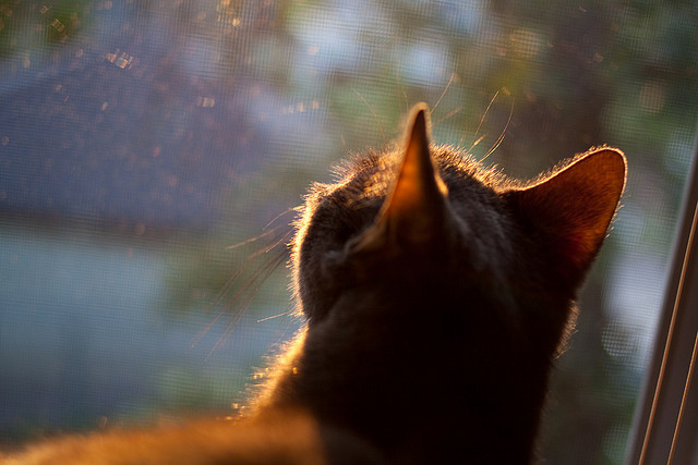 “英超逆转好戏不断:比赛最后一分钟堪称经典”,英超最后一名奖金