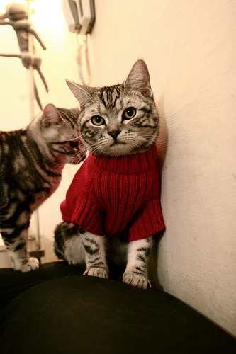 全国青少年足球运动普及，基层青训快速发展，全国青少年足球训练营